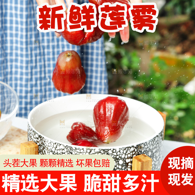 手拿新鲜黑金刚莲雾