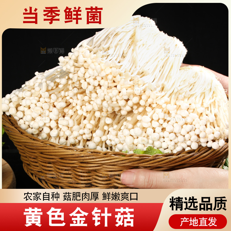 手拿一筐金针菇