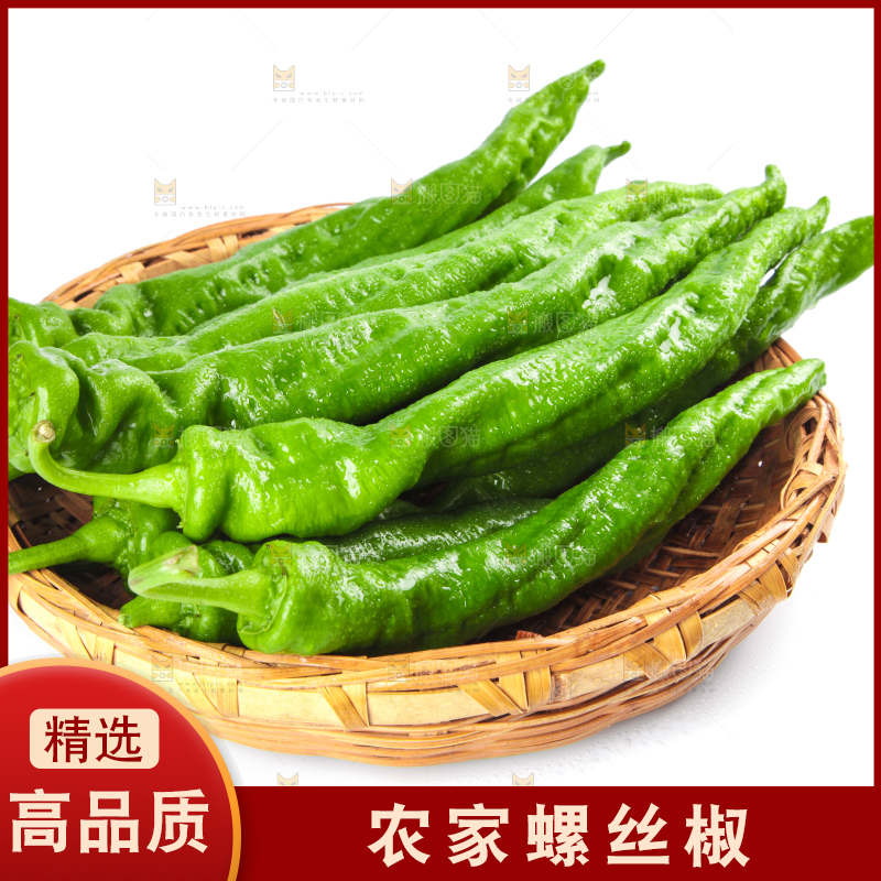 篮子里装着陕西螺丝椒