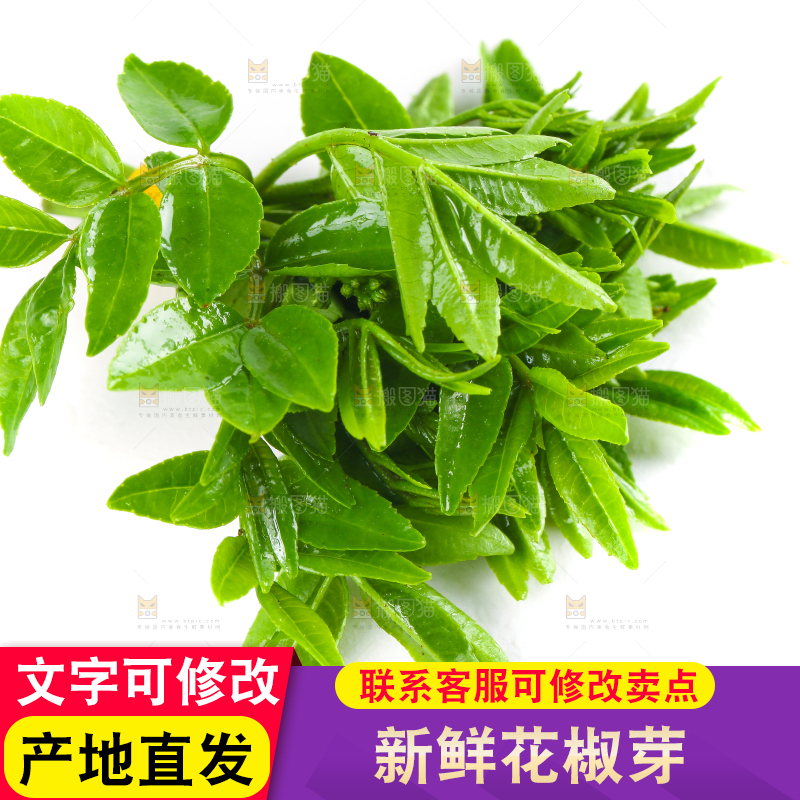 白底上放着花椒芽