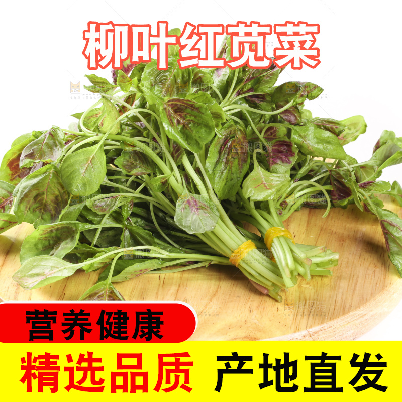 木底上的红苋菜