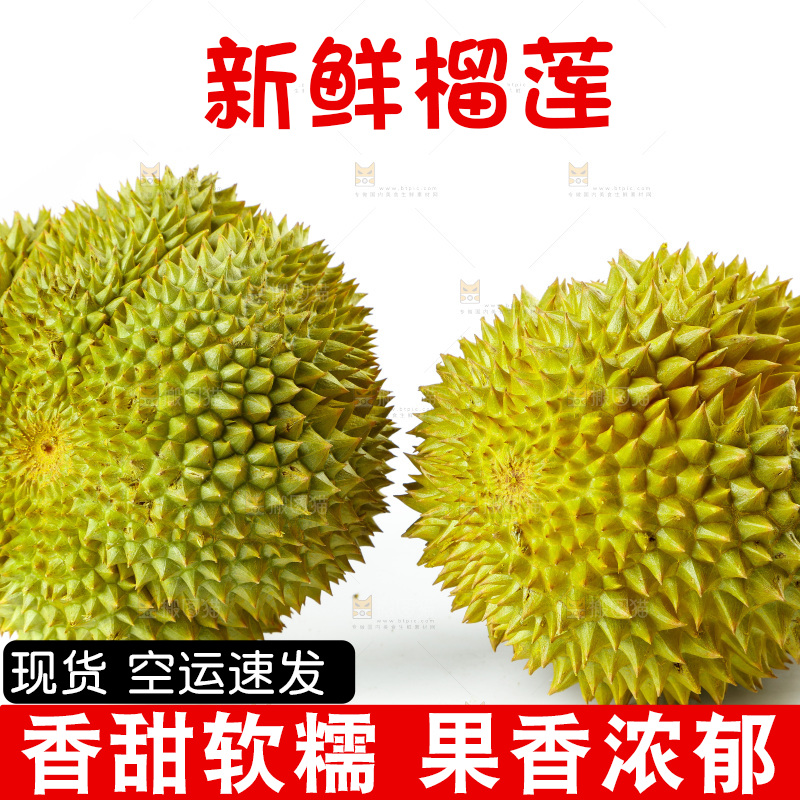 白底上的新鲜榴莲