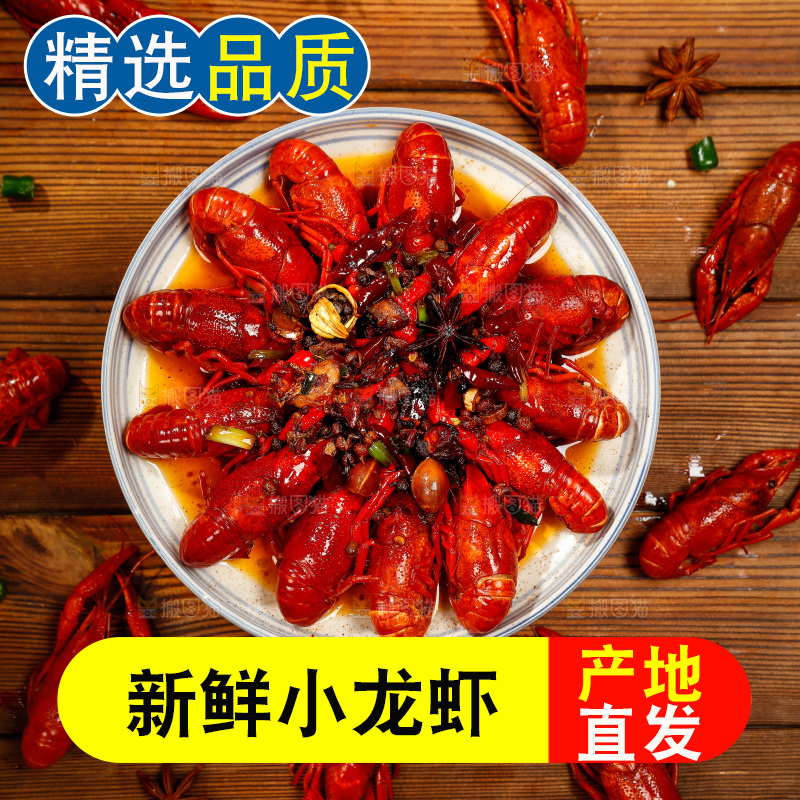 龙虾背景纹理