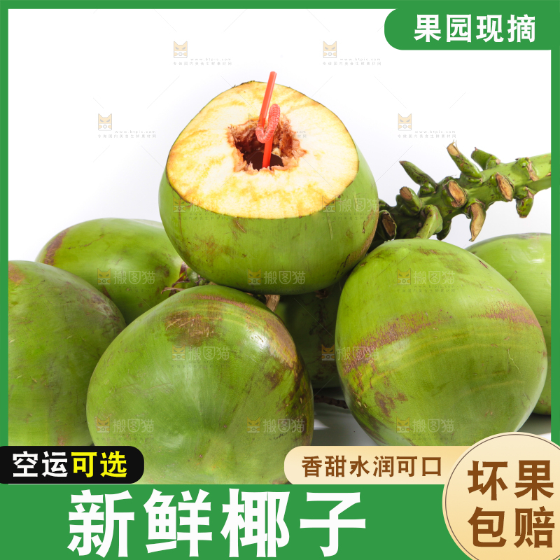 新鲜的开口大椰青放在白底上