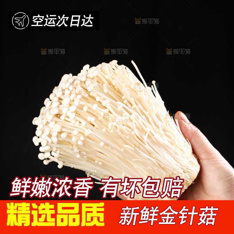 手拿金针菇