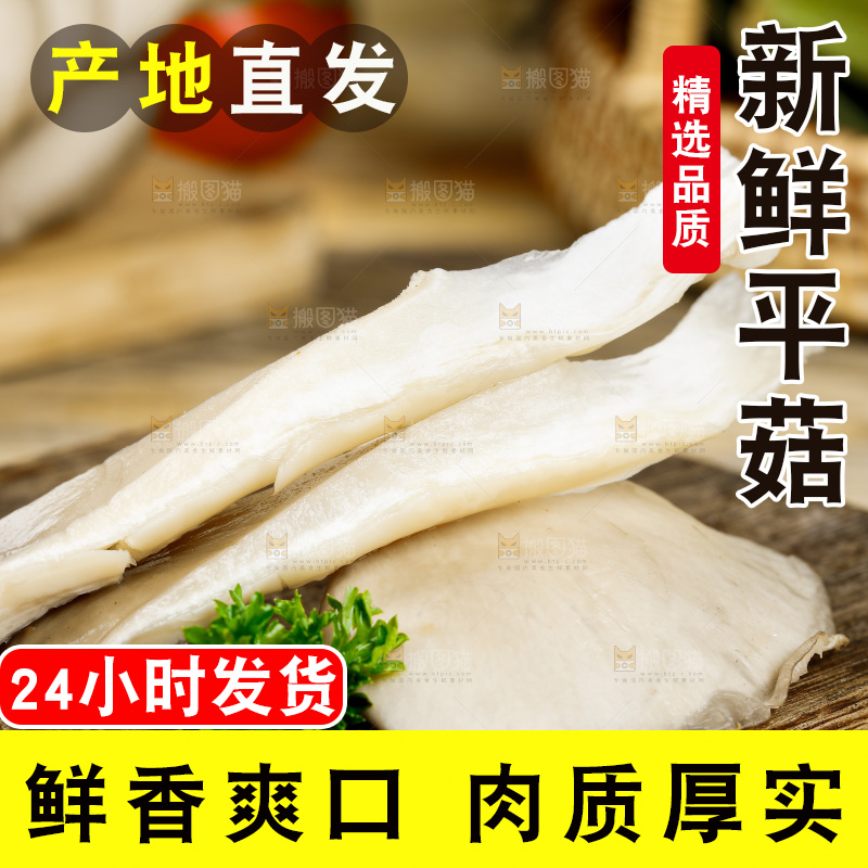 木底上的新鲜平菇