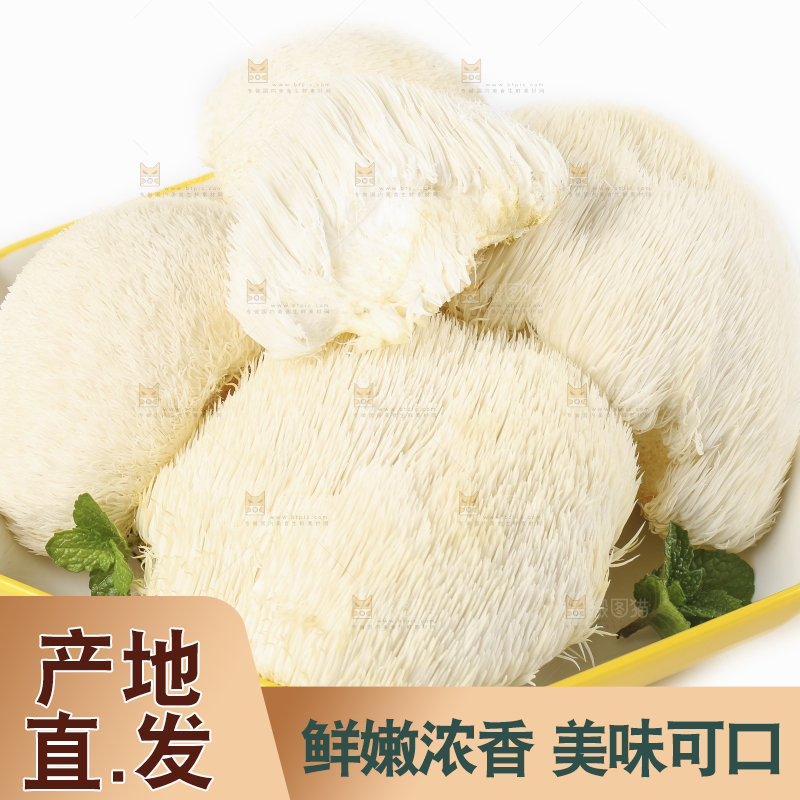盘子里装着新鲜猴头菇
