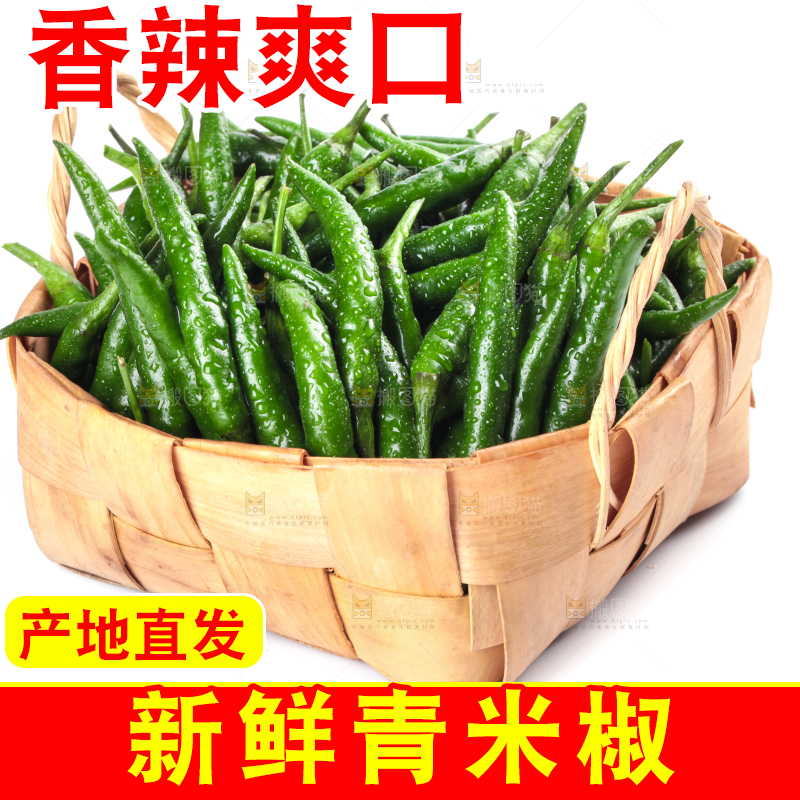 一筐新鲜的青小米辣放在白底上