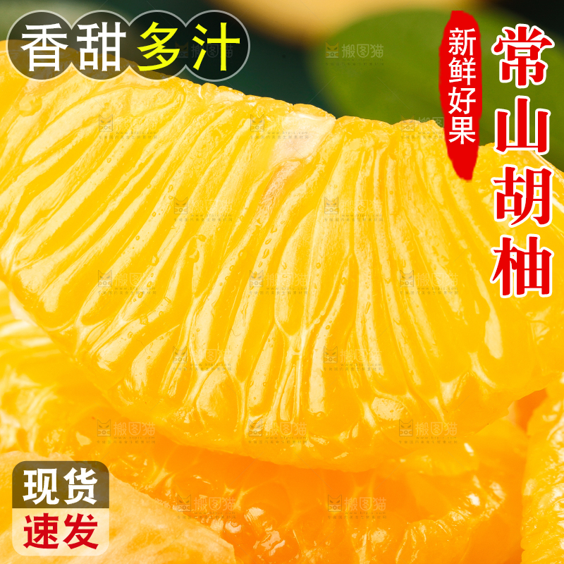 蓝底上的常山胡柚