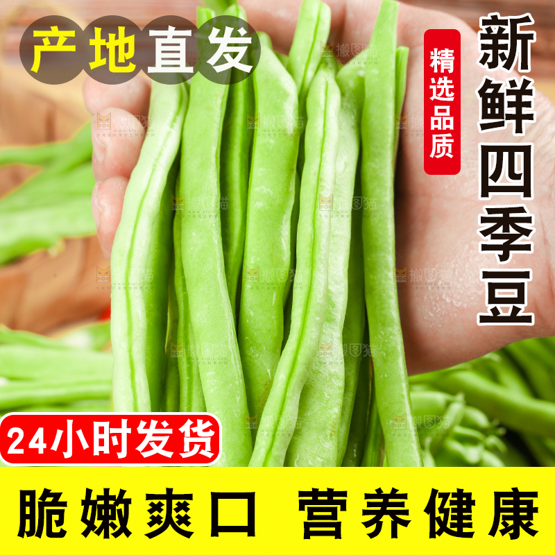 手里拿着云南新鲜四季豆