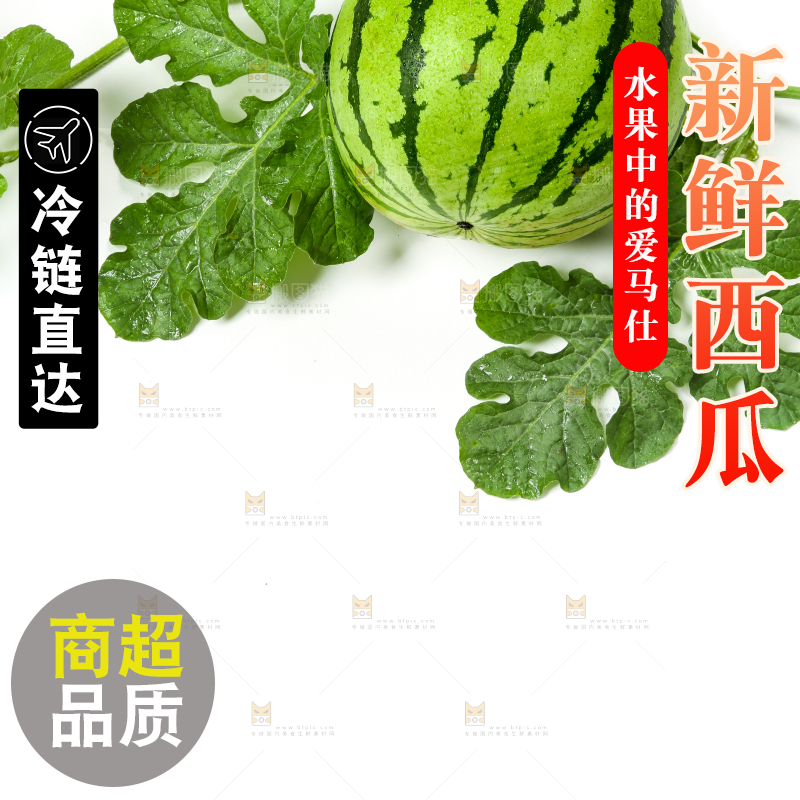白底上的新鲜西瓜