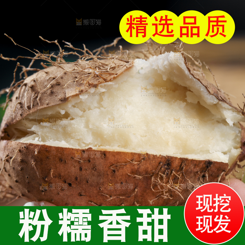 手拿熟毛薯