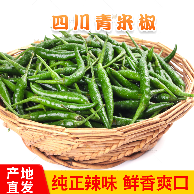 一筐新鲜的青小米辣放在白底上