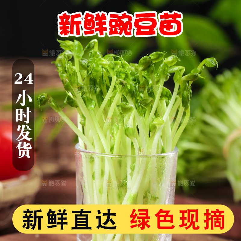木板上放着豌豆芽