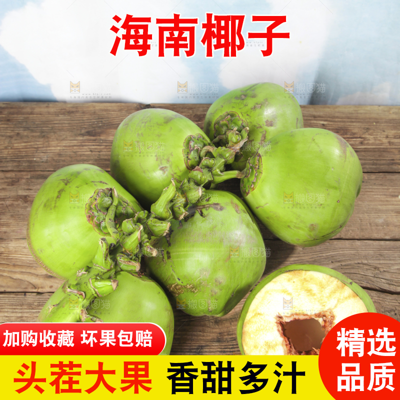 木底上放着开口的海南大椰青