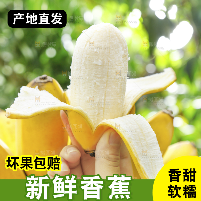 手拿剥皮的广西苹果蕉