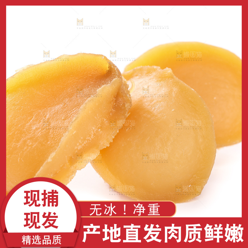 干鲍鱼放在白底上