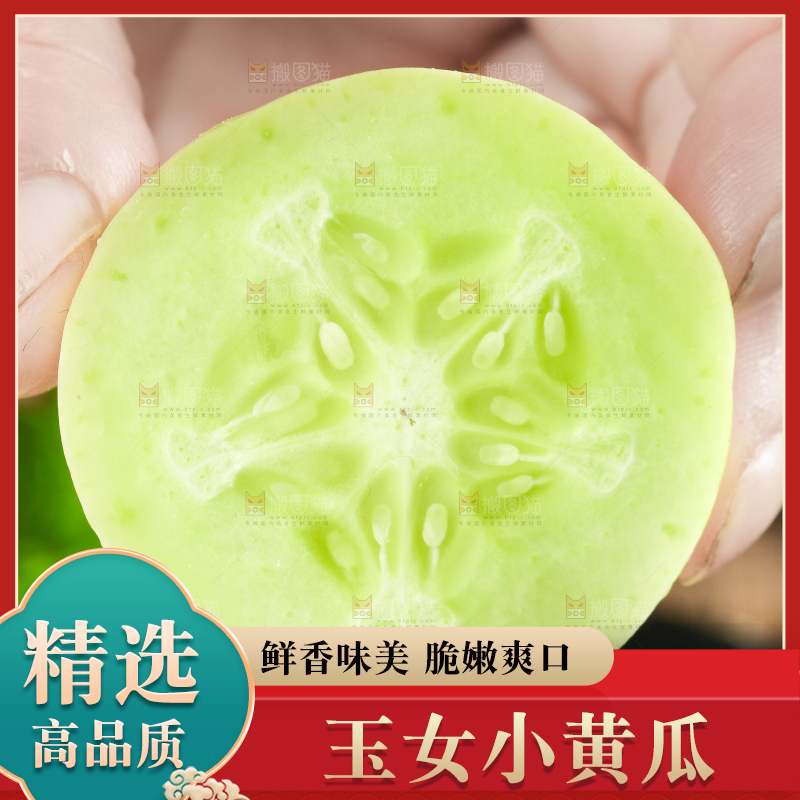 手拿切开的玉女黄瓜
