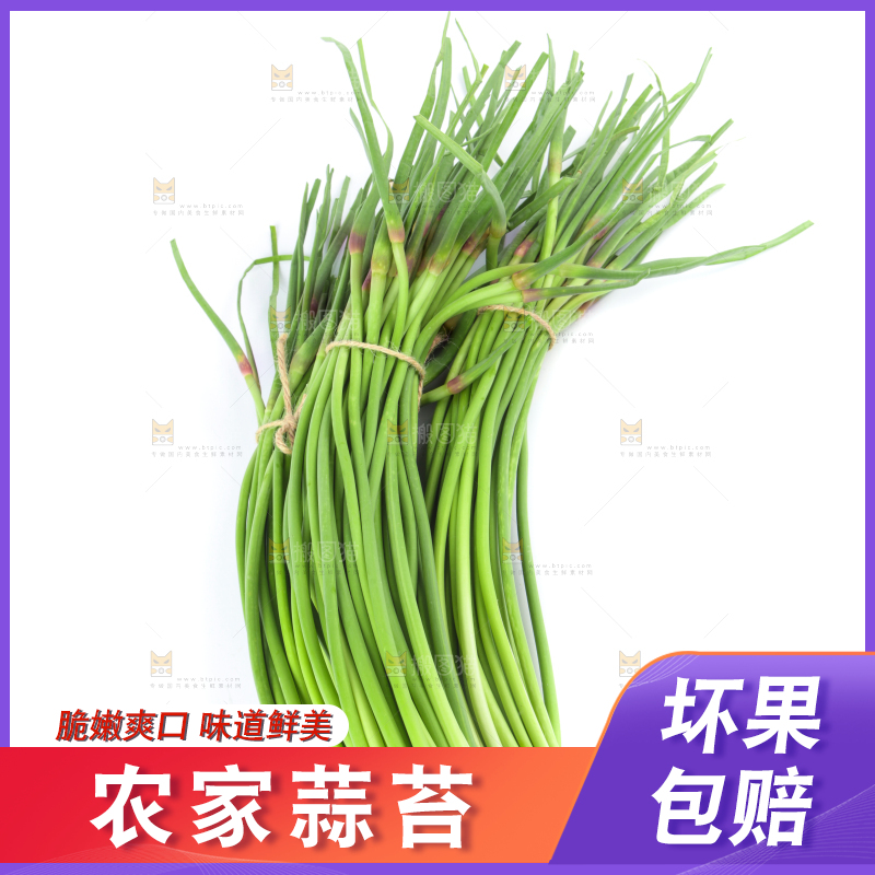 白底上的河南蒜苔