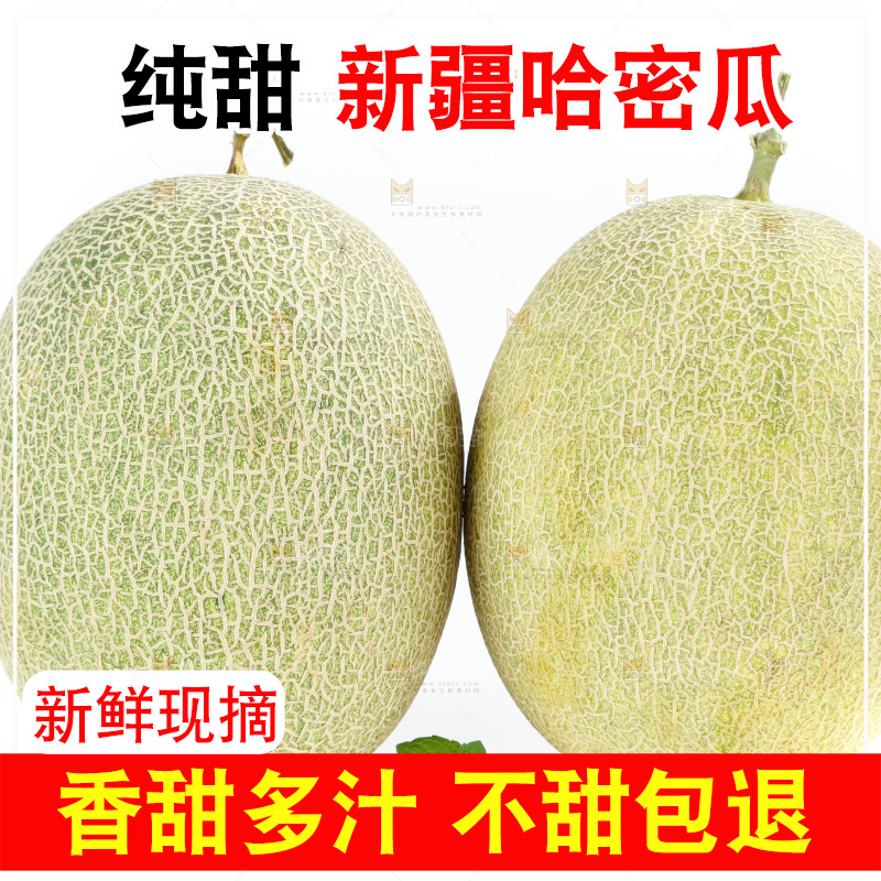 白底上的新疆哈密瓜