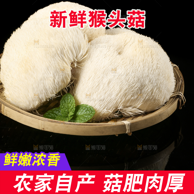 盘子里装着新鲜猴头菇