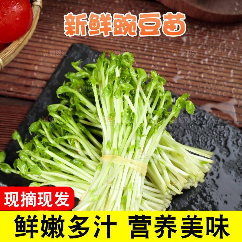 黑石板上的豌豆芽苗菜
