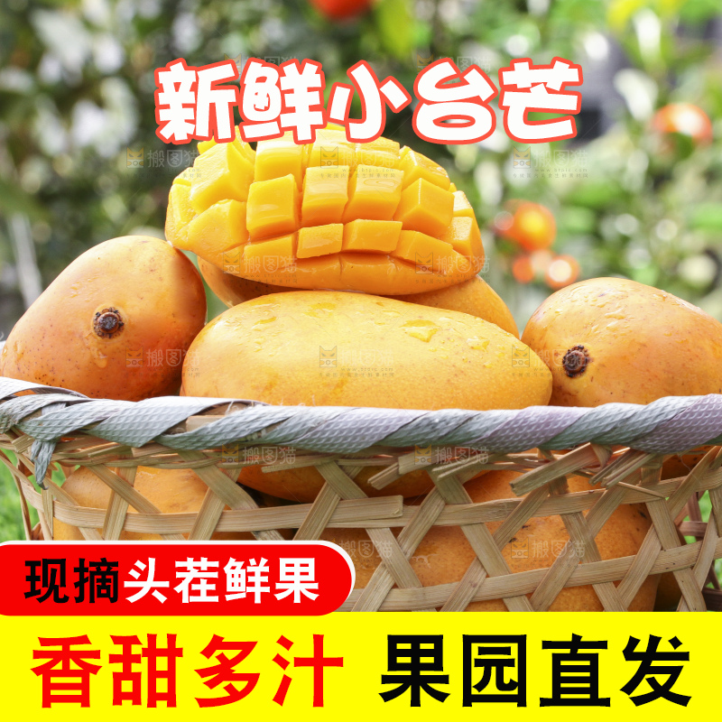 草地上放着一筐小台芒