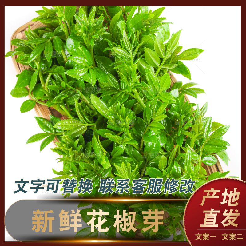 一盘花椒芽苗放在白底上