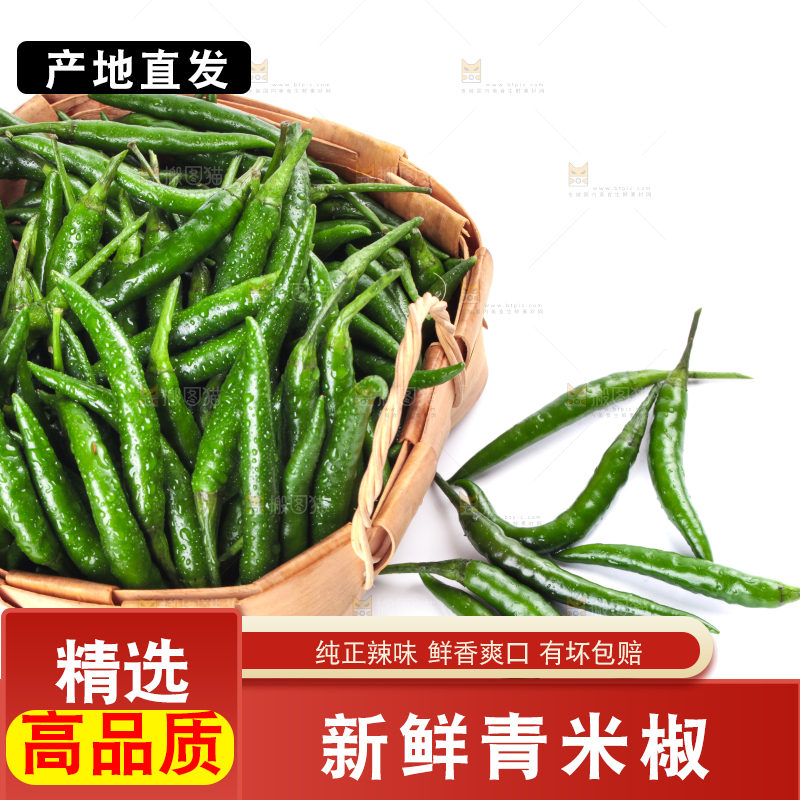 一筐新鲜的青小米辣放在白底上