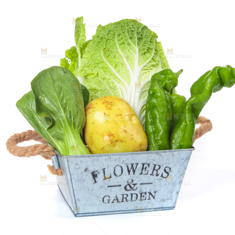 白底上的蔬菜混合