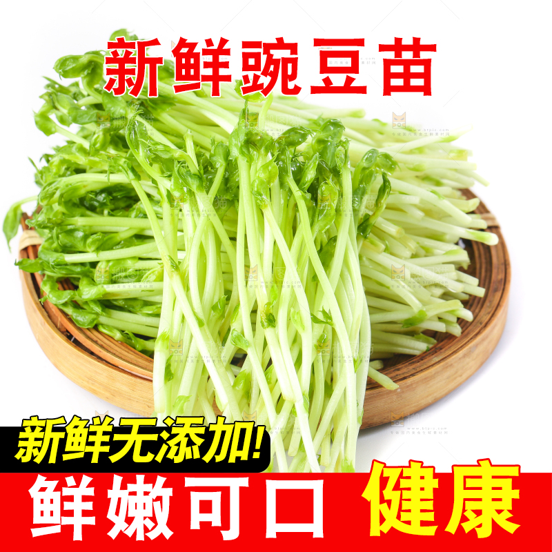 白底上放着豌豆芽菜