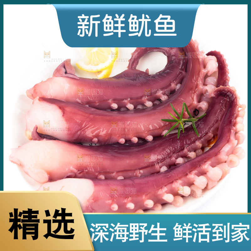 白底上的鱿鱼须