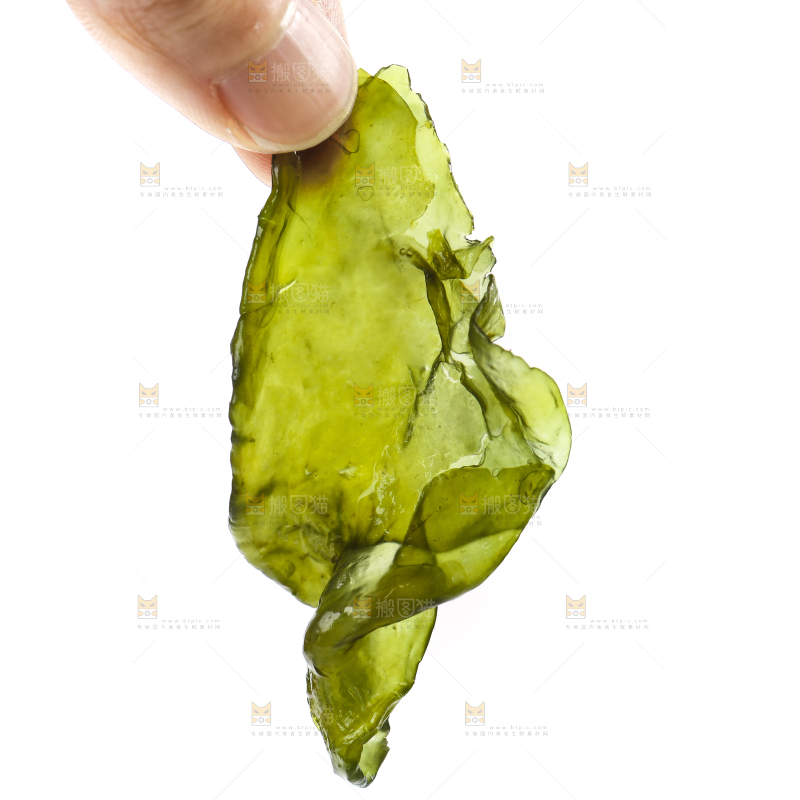 白底上的地皮菜