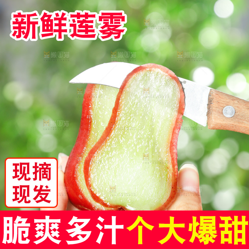 手拿切开的新鲜莲雾