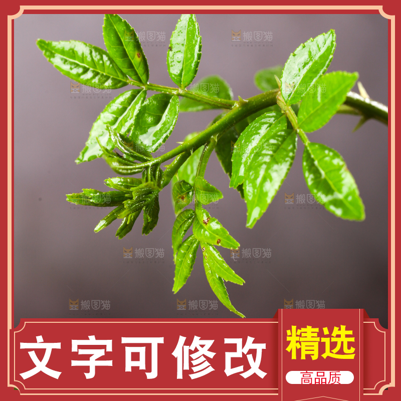 深底上的花椒芽