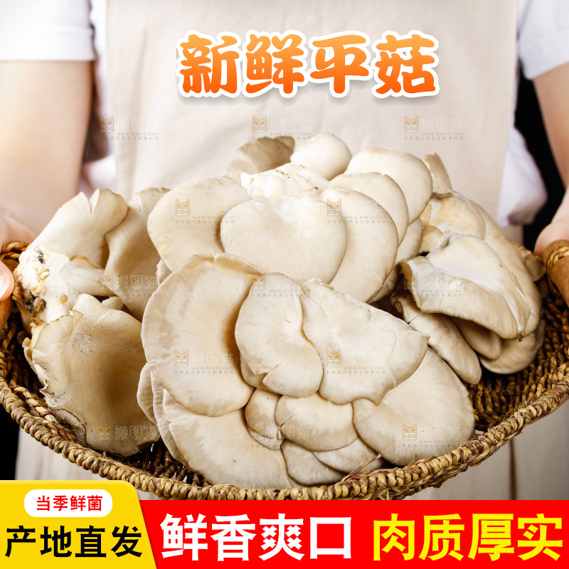手拿一筐有机平菇