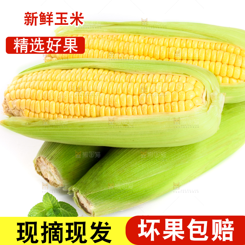 白底上放着黄玉米