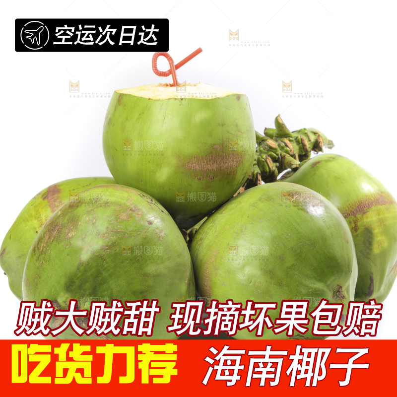 新鲜的泰国椰青放在白底上