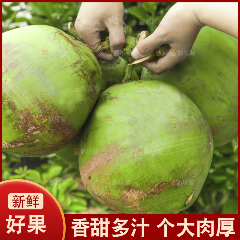 手拿海南大椰青