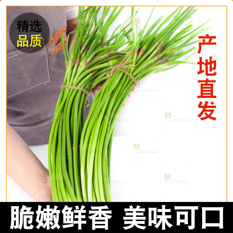 手拿新鲜蒜毫