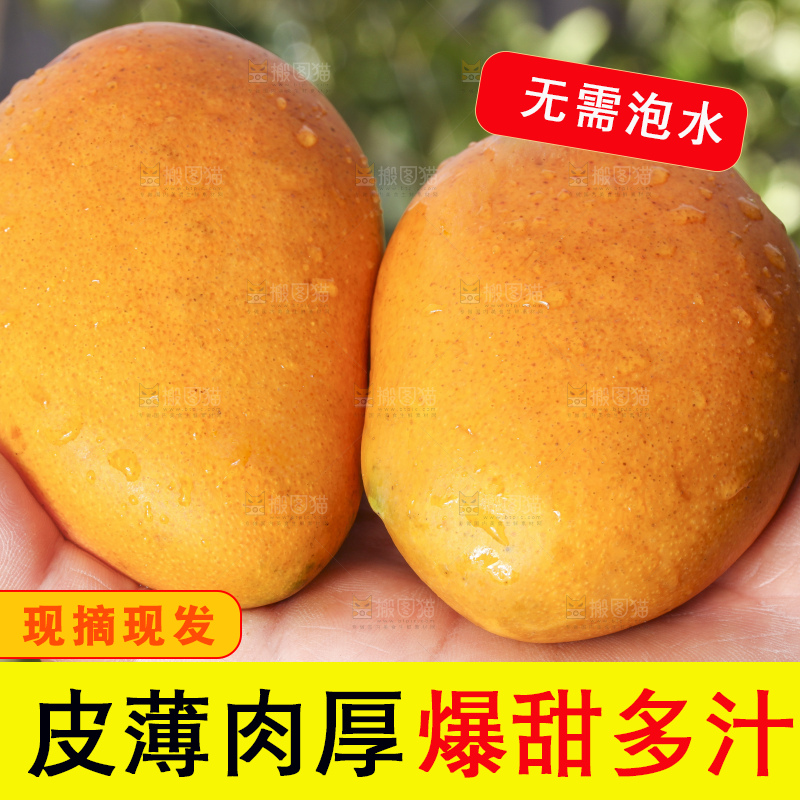 手拿新鲜的小台芒