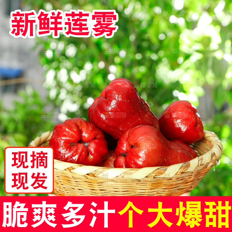 手拿一筐新鲜莲雾