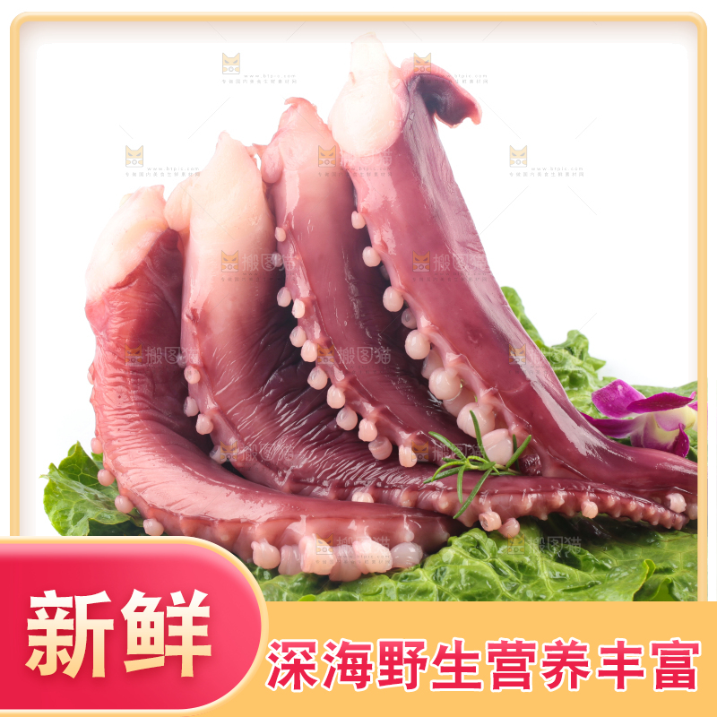 叶子上放着鲜鱿鱼