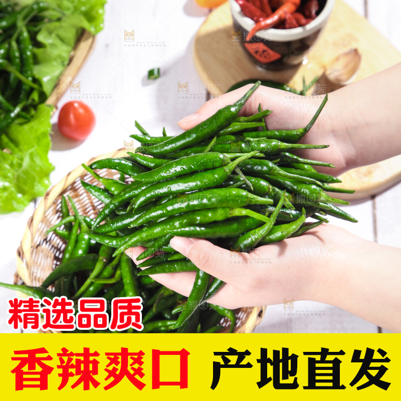 手拿新鲜的指天椒