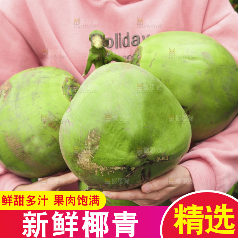 手拿海南大椰青