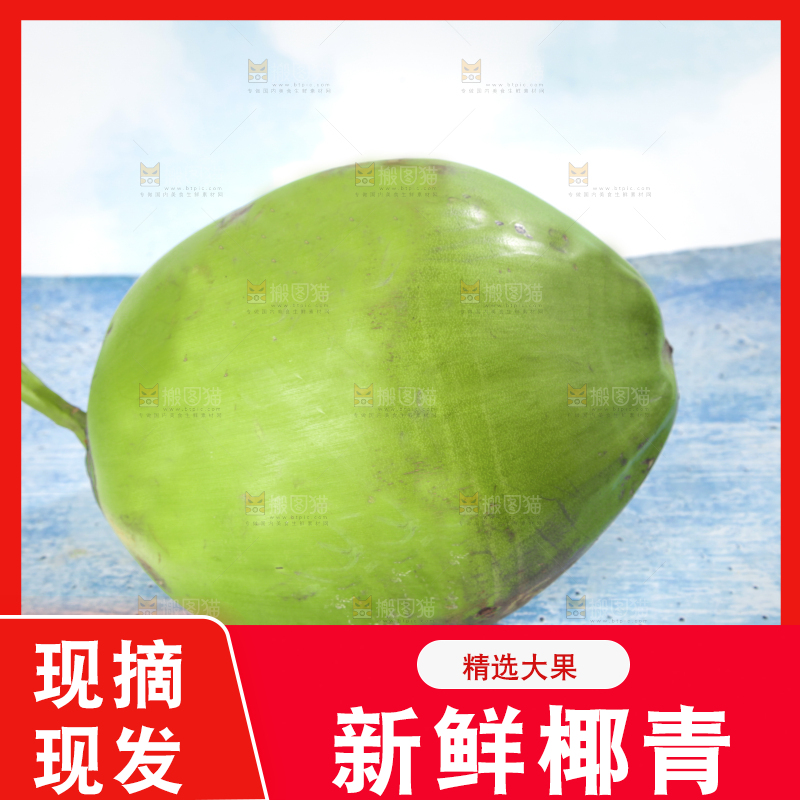 蓝底上的椰子