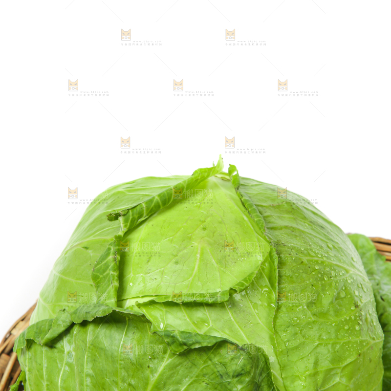白底上放着一筐陕西卷心菜