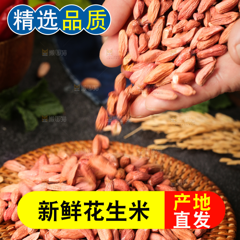 竹底上的山东小瘪子花生米