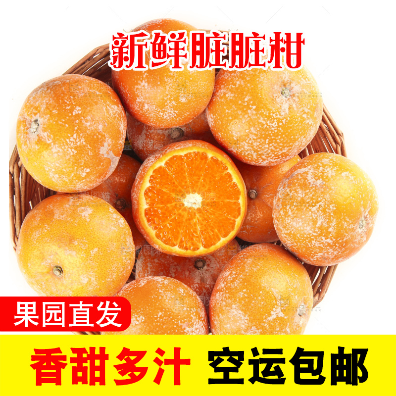 白底上放着一筐广西武鸣茂谷柑