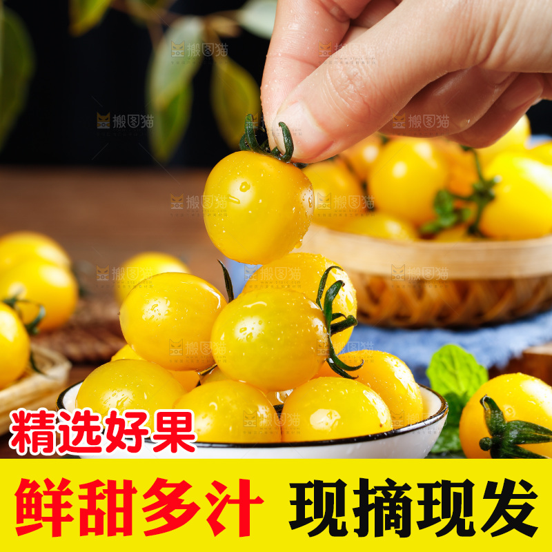 手拿着黄金小番茄